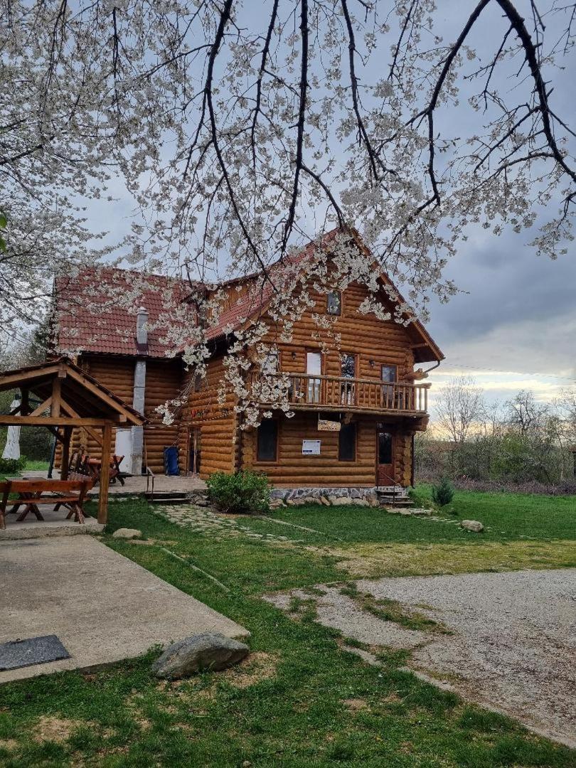 Valea Vistisoarei Villa Vistisoara Bagian luar foto